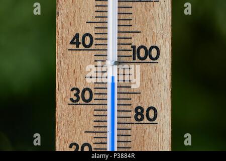 Thermometer im Sommer Stockfoto