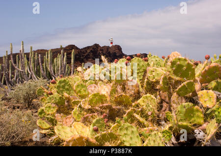 Buenavista del Norte, Spanien, Blick zum Leuchtturm Faro de Punta de Teno Stockfoto