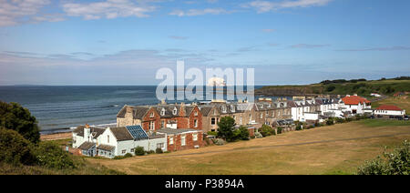 Tagsüber Sommer - Zeit anzeigen North Berwick auf Bass Rock, North Berwick, East Lothian, Schottland, Vereinigtes Königreich, Stockfoto