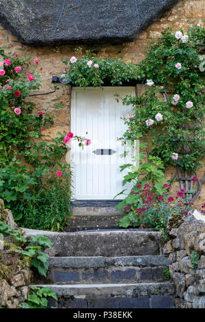 Reetdachhaus und Kletterrosen um die vordere Tür in Ebrington, Chipping Campden, Gloucestershire, England Stockfoto