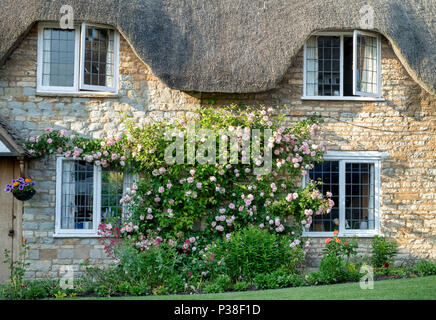 Reetdachhaus und Kletterrosen im Dorf Tredington, Warwickshire, England Stockfoto