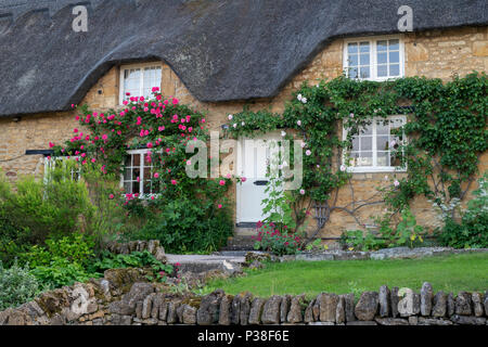 Reetdachhaus und Kletterrosen in Ebrington, Chipping Campden, Gloucestershire, England Stockfoto