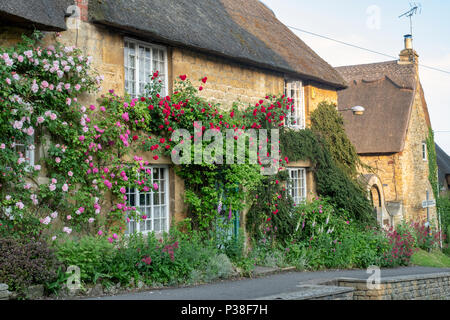 Reetdachhaus und Kletterrosen in Ebrington, Chipping Campden, Gloucestershire, England Stockfoto