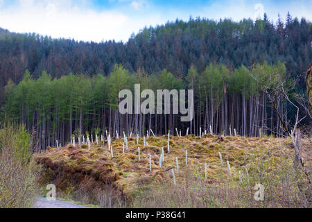 Glencoe-Schottland Stockfoto