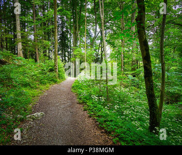 DE - Bayern: Kalvarienberg Woodlands in Lenggries (HDR-Bild) Stockfoto