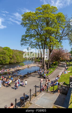 Leute genießen ein heißer Frühling Tag am Fluss Dee in Llangollen Stockfoto