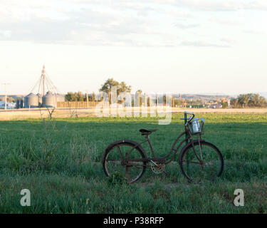 Farbe Fohlen und Mutter in horse Herde Stockfoto