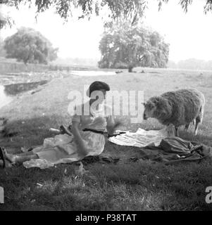 1950er Jahre, historische Bild, eine Dame im Freien auf einem grasbewachsenen Ufer in Parkland hat eine Überraschung Besucher, eine lokale Schafe, England, UK. Stockfoto