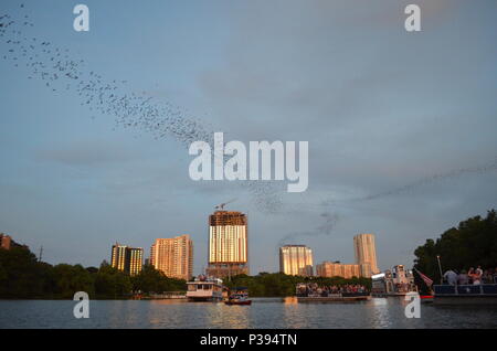 Austin, Texas, USA. 17 Juni, 2018. Leute gehen Batty für einen der lokalen Austin Attraktionen. Sonntag Abend bei Sonnenuntergang, Millionen von Mexiko-tailed Fledermäuse ihre Barsch lassen unter der Congress Avenue Bridge über Lady Bird Lake in der Innenstadt von Austin, Texas auf Insekten zu füttern. Tausende Zuschauer säumen die Brücke das Spektakel, die jeden Abend ab ca. März bis November geschieht, zu beobachten. Der Flug Muster kann bis zu 2 Meter hoch werden. Quelle: Glenn Ruthven/Alamy leben Nachrichten Stockfoto