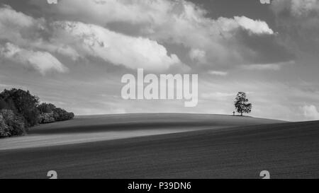 Schwarze und weiße Landschaft. Allein Birke am Horizont. Betula. Malerische Melancholie Hintergrund. Einsamer Baum, Christian Kreuz, rollenden Feld, bewölkter Himmel. Stockfoto