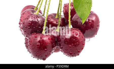 Detail der süsse Kirschen mit Wassertropfen. Prunus avium. Schöne Nahaufnahme ein Bündel gewaschen frischer Beerenfrucht und grünen Blättern. Gesund saftig Snack. Stockfoto