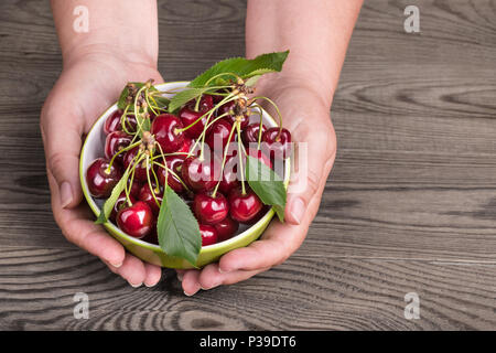 Detail der Hände, die süßkirschen in der Schüssel. Prunus avium. Frisch gepflückt Trauben von reifen roten Früchten. Grünen Stengel und Blätter. Holz Hintergrund. Stockfoto