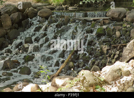 Schönen Wasserfall im Wald Stockfoto