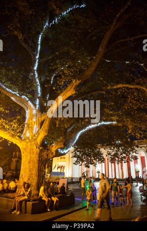 Odessa, Ukraine, leichte Installation auf einem Baum Stockfoto