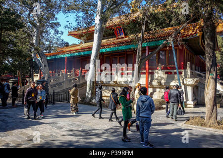 Peking, China - 11. MÄRZ 2016: Verbotene Stadt. Pavillon im Kaiserlichen Garten. Stockfoto