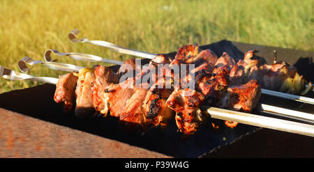 Appetitlich Shish Kebab im Urlaub, fleisch, Schweinefleisch, leckeres Essen, Stockfoto