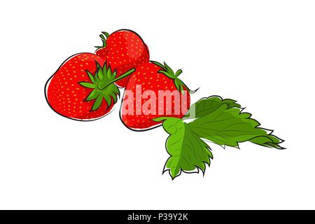 Vektor einfache Zeichnung von reifen roten Beeren Erdbeere mit Blättern Stock Vektor
