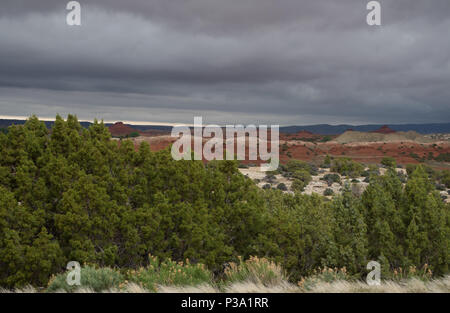 Red Hills in den Bighorn Canyon National Recreation Area bei bewölktem Himmel mit Evergreens und Gras im Vordergrund. Stockfoto