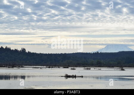 Waterfront Blick auf Mt. Rainier gegen bewölkten Himmel Stockfoto