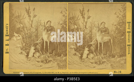 . Frau M. A. Maxwell und einige der Tiere in Ihrer 'Rocky Mountain Museum.'. Alternative Titel: Frau Maxwell's Rocky Mountain Museum Serie. 14. Abdeckung: 1865?-1900?. Quelle Impressum: 1865?-1900?. Digitale Element veröffentlicht 10-28-2005; 2-13-2009 aktualisiert. 199 Frau M. A. Maxwell und einige der Tiere in ihrem "Rocky Mountain Museum.", von Robert N. Dennis Sammlung von stereoskopische Ansichten 2. Stockfoto