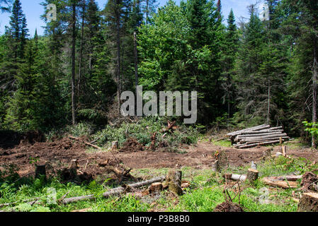Ein Land, das Clearing und die Protokollierung in den Adirondack Mountains, NY, USA Stockfoto