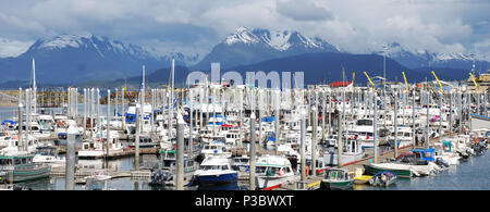 Angeln Marina bei Homer Spit, Homer, Alaska, USA Stockfoto