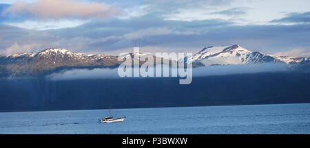 Homer, Alaska USA Stockfoto