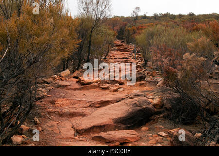 Wilpena Pound South Australia, Blick entlang der Wanderweg nach dem Regen in den Nationalpark Stockfoto