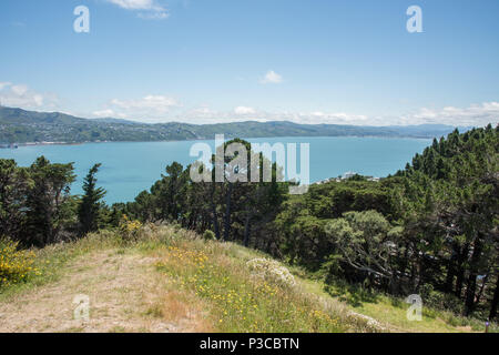 Wellington, Nordinsel, Neue Zealand-December Tinakori 14,2016: Blick vom Gipfel über den Hafen mit dem Grün in Wellington, Neuseeland Stockfoto