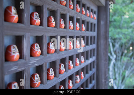 Glücksbringer Daruma Puppen auf Anzeige auf einem japanischen Schrein Stockfoto