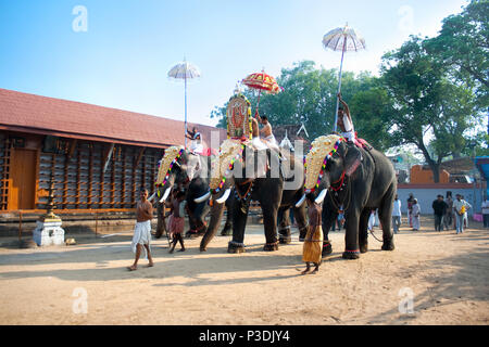 COCHIN, Indien - Februar 03: Gold caparisoned Elefanten Parade am jährlichen Festival im Siva Tempel, Februar 03. 2009. Cochin, Kerala, Indien. Stockfoto