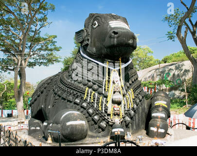 Nandi, Shivas Fahrzeug, Chamundi Hill, in 1659 erbaut, Mysore, Indien Stockfoto