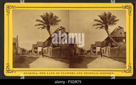 . St. Franziskus St., in der Nähe der Kaserne. Alternative Titel: Florida, das Land der Blumen und tropischen Landschaft. Abdeckung: 1868?-1895?. Quelle Impressum: 1868?-1895?. Digitale Element veröffentlicht 7-18 2005; 2-12-2009 aktualisiert. 279 St. Franziskus St., in der Nähe der Kaserne, von Robert N. Dennis Sammlung von stereoskopische Ansichten 3. Stockfoto