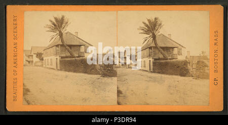 . St. Franziskus St., mit Dattelpalmen. Alternative Titel: Schönheiten der amerikanischen Landschaft. Abdeckung: 1868?-1895?. Quelle Impressum: 1868?-1895?. Digitale Element veröffentlicht 7-18 2005; 2-12-2009 aktualisiert. 280 St. Franziskus St., mit Dattelpalmen, von Robert N. Dennis Sammlung von stereoskopische Ansichten Stockfoto