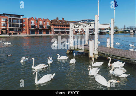 Berkshire, UK - April 2018: eine touristische Bootsfahrt Pier an der Themse zwischen den Städten Windsor und Eton in der Berkshire entfernt Stockfoto