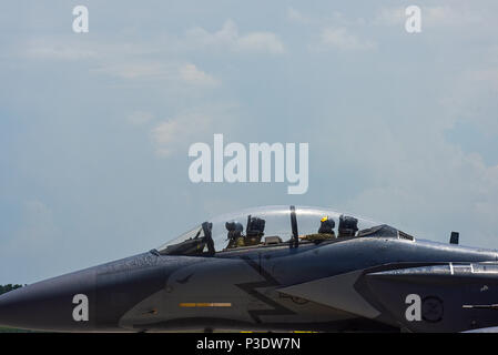 Oberst Christopher Salbei, 4 Fighter Wing Commander, kehrt von seinem letzten Flug wie Wing Commander, 14. Juni 2018, bei Seymour Johnson Air Force Base, North Carolina. Familienmitglieder, Freunde und Fliegern auf der Flightline, ihn zurück zu willkommen und seinen letzten Flug feiern. (U.S. Air Force Foto: Staff Sgt. Brittain Crolley) Stockfoto