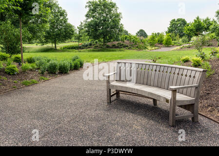 Holz- Sitzbank im Wintergarten an der RHS Hyde Hall Essex. Stockfoto