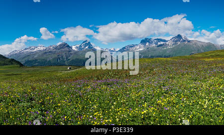 Idyllische Bergwelt im Sommer Stockfoto
