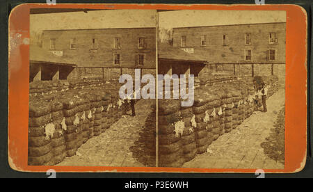 . Füllung aus Baumwolle. Alternative Titel: John's Usher Stereoviews von Augusta & Umgebung. Erstellt: Ca. 1885. Abdeckung: 1859?-1900?. Quelle Impressum: 1859?-1900?. Digitale Element veröffentlicht 6-30 2005; 2-12-2009 aktualisiert. 289 Baumwolle Füllung, durch Jr. John Stockfoto