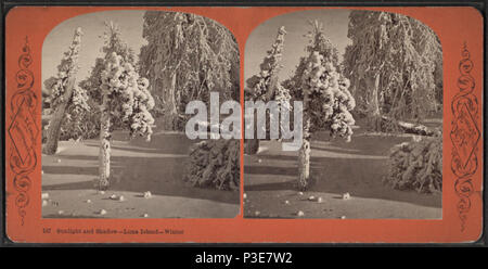 292 Sonnenlicht &Amp; Schatten, Luna Island, Winter, von Curtis, George E., d. 1910 3. Stockfoto