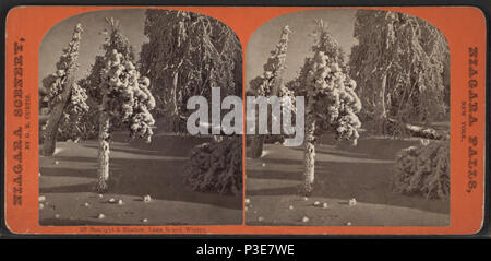 292 Sonnenlicht &Amp; Schatten, Luna Island, Winter, von Curtis, George E., d. 1910 Stockfoto