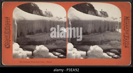 298 Dosenschildkröte Turm von unten, Winter, von Curtis, George E., d. 1910 3. Stockfoto