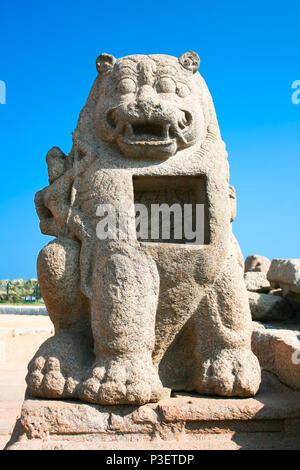 Riesige Skulptur Löwe detail von Shore Tempel, Mamallapuram, Tamil Nadu, Indien Stockfoto