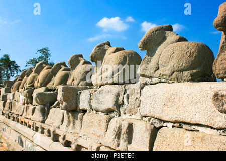 Nandi auf Stone Fence, Detail von Shore Tempel, Mamallapuram, Tamil Nadu, Indien Stockfoto