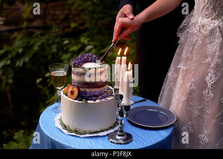 Romantische Hochzeit Abendessen, im Park am Wasser. Viel Grün. Tabelle für eine romantische Hochzeit Abendessen, Datum. Der Park am See. In blauer Farbe. Wit Stockfoto