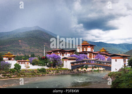 Die schöne Dzong von Punakha scheint in der Monsun Herrlichkeit mit lila Bäume zu beglückwünschen. Stockfoto