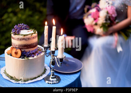 Romantische Hochzeit Abendessen, im Park am Wasser. Viel Grün. Schöne weiße tiered Kuchen mit Blumen und einem pflaumenbaum eingerichtet. Hochzeit Dekor Stockfoto