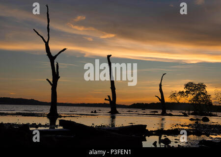 Silhouette der Bäume und Wälder gegen die untergehende Sonne am Strand bei Chidiya Tapu, Andaman Stockfoto