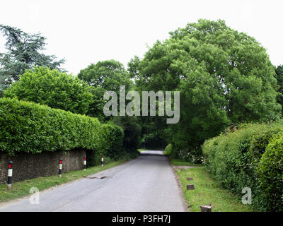 Country Lane in Woodmancote, West Sussex, Hampshire Grenze im Süden von England Stockfoto