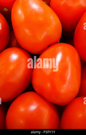 Essen Hintergrund - Nahaufnahme von schönen und saftige rote Pflaumen Tomaten auf dem Bauernmarkt Stockfoto